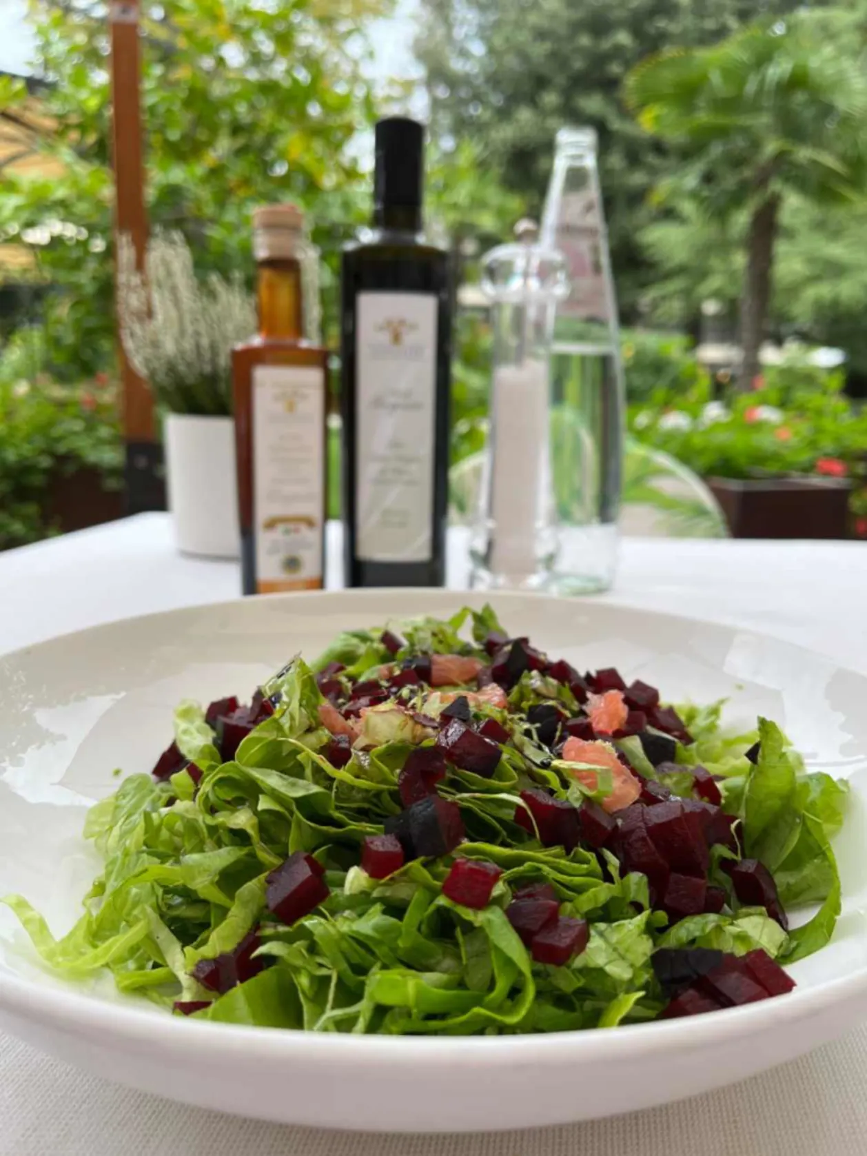 Long Life Formula lunch on terrace
